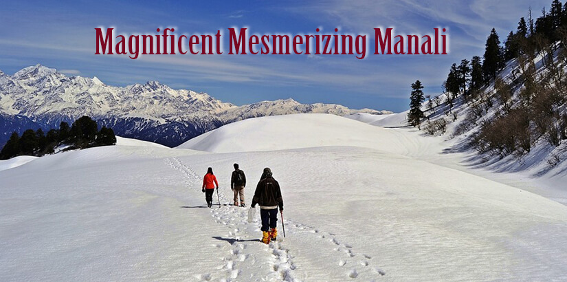 Honeymoon Vacation Package for Manali